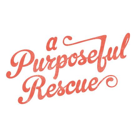 A Donation to a Purposeful Rescue